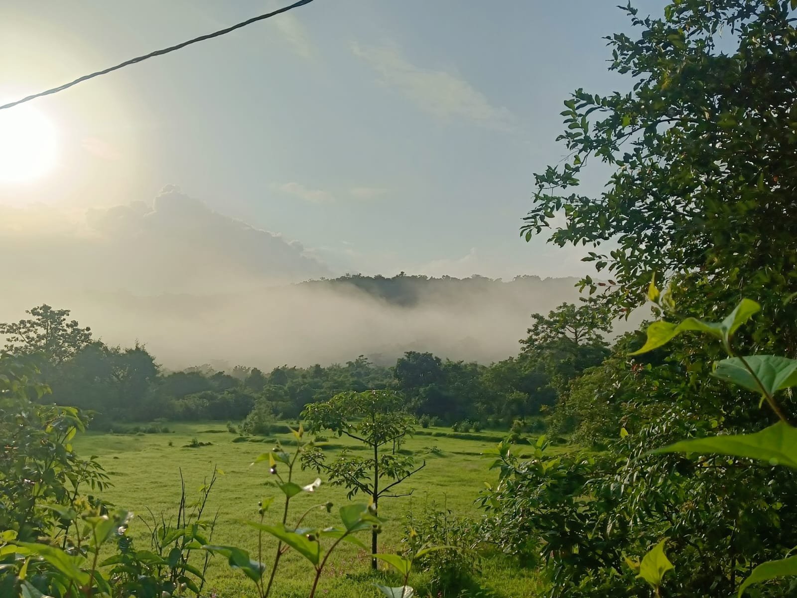 Dahimbe Organic Estate Farm